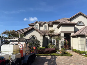 Mallard Systems