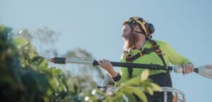 Diamond Tree Services