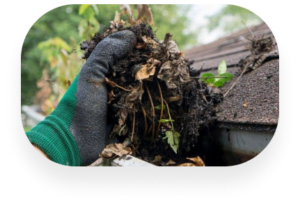 TX Gutter Expert - Twin Oaks